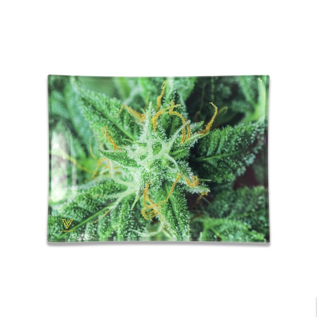 V SYNDICATE MEDIUM GLASS ROLLING TRAY AK 47